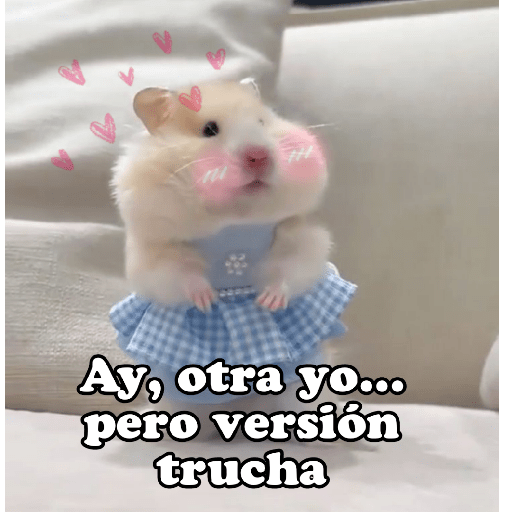 Hámsters No Copy Zone🐹✨ 12