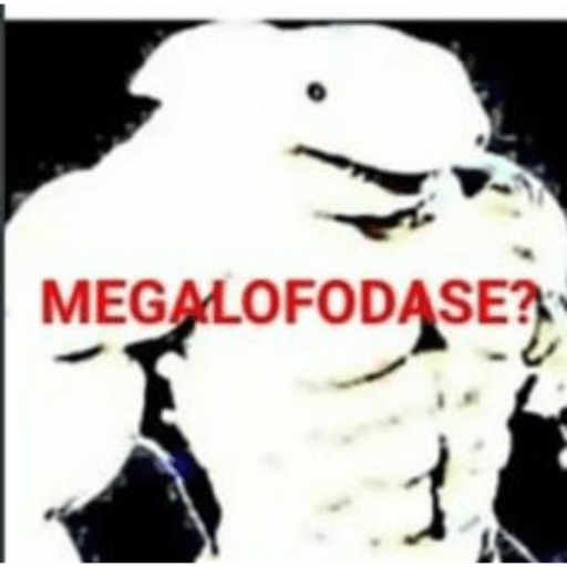 Memes e shitpost kkj 29