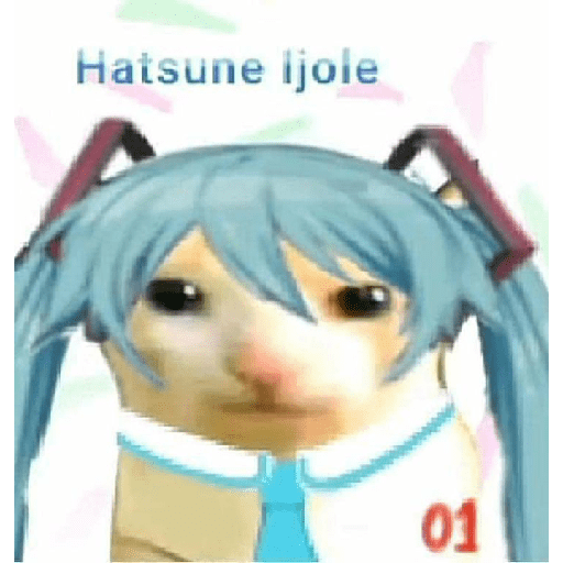Gatos chistosos viva el CP 3