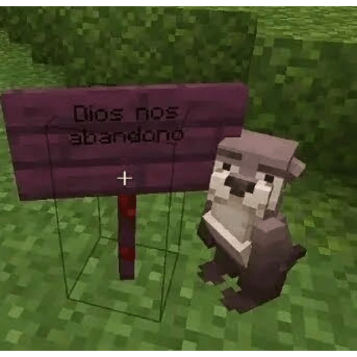 LOL 9