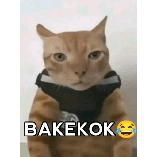 WhatsAppSticker 17