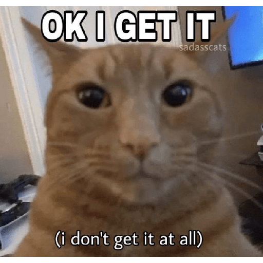 El gato 9