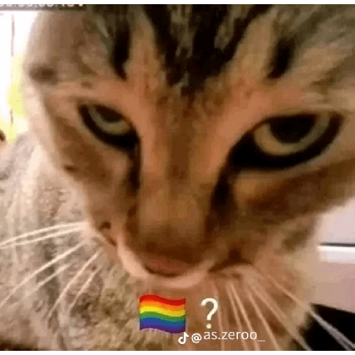You gay🤨? 13
