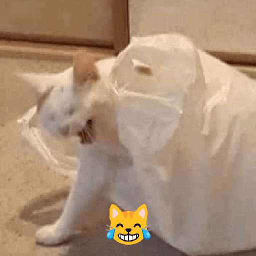 GATOS RANDOM - PARTE 55 21
