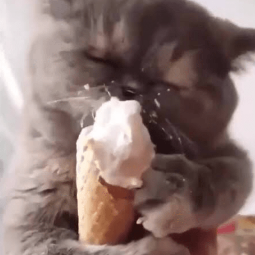 Gatitos comiendo dulces  16