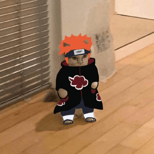 Anime cosplay cat 18