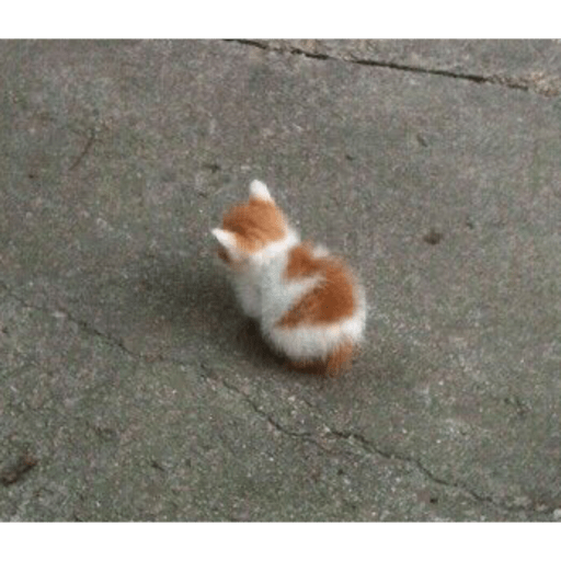 Cats 2
