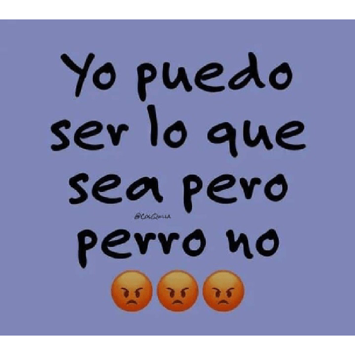 Frases 😂 Pack 2 14