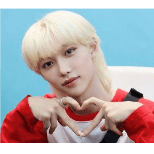 Stray kids 12