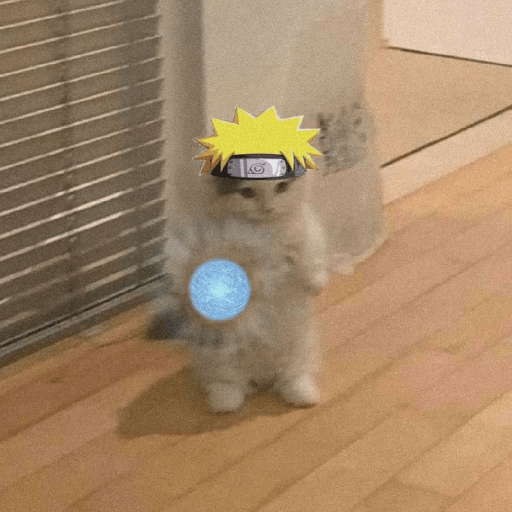 Anime cosplay cat 12