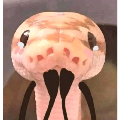 Sei lá kkk 14