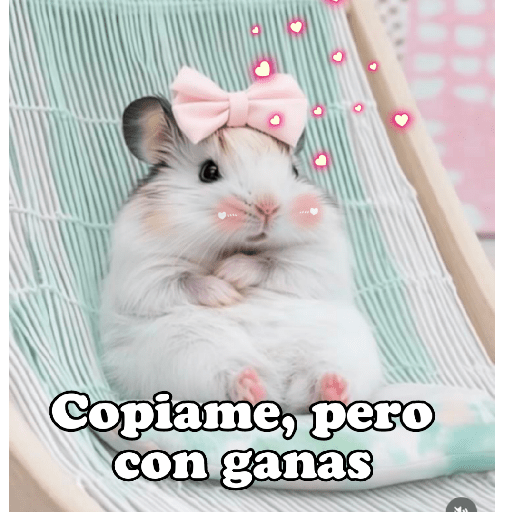 Hámsters No Copy Zone🐹✨ 5