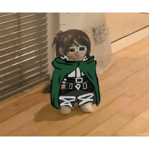 Anime cosplay cat 4
