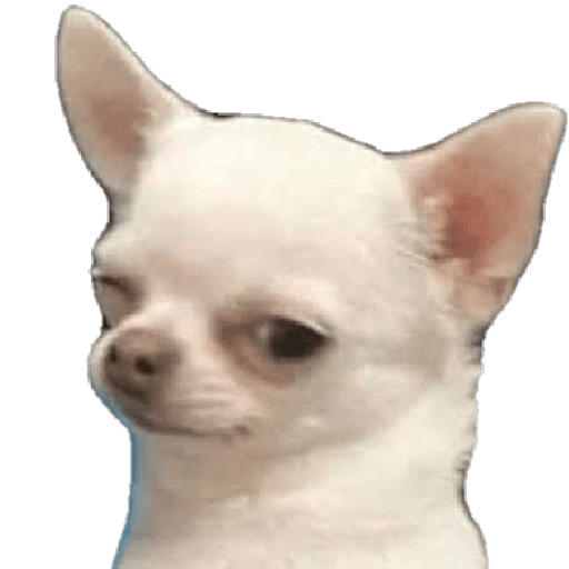 MEMES RANDOM PARTE 38 29