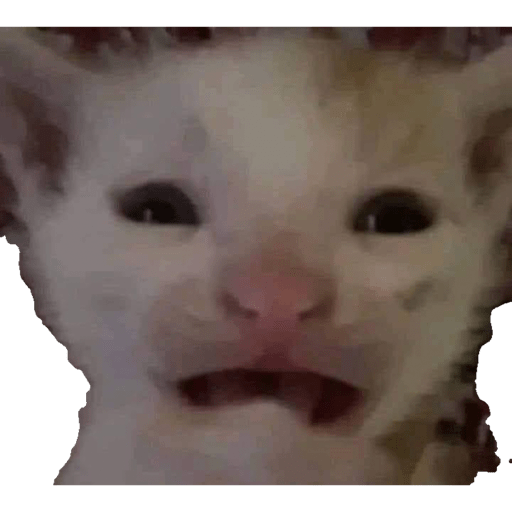 Xd muy jsikq d 10