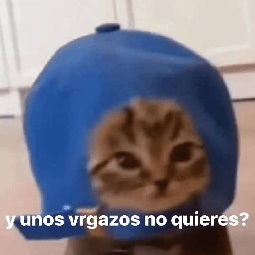 GATOS RANDOM - PARTE 55 18
