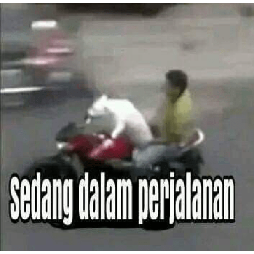 Memek without k pt.2 17