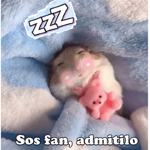Hámsters No Copy Zone🐹✨ 15