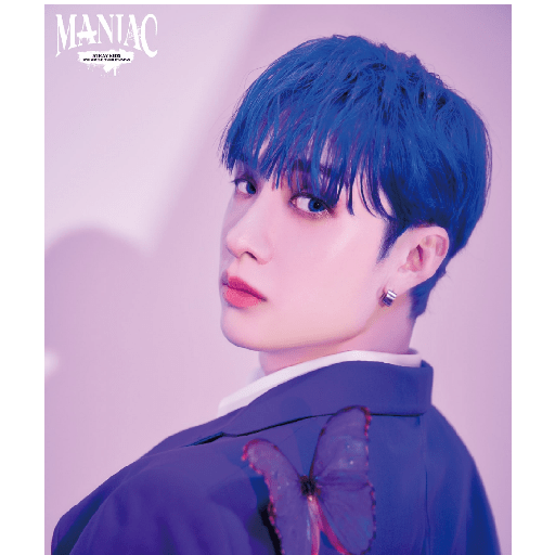 Stray kids 21