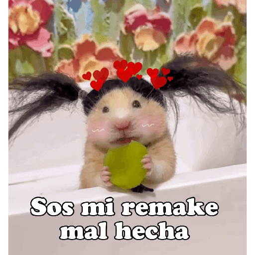 Hámsters No Copy Zone🐹✨ 10