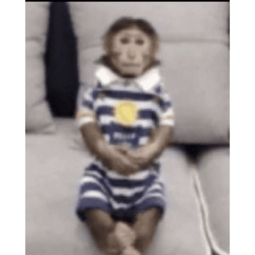 Comentarios tiktok JAJA 5
