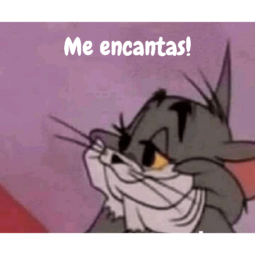 Gracioso 15