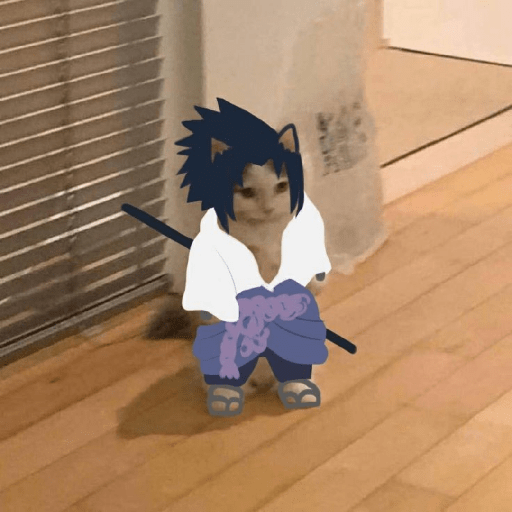 Anime cosplay cat 16