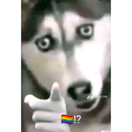 You gay🤨? 20