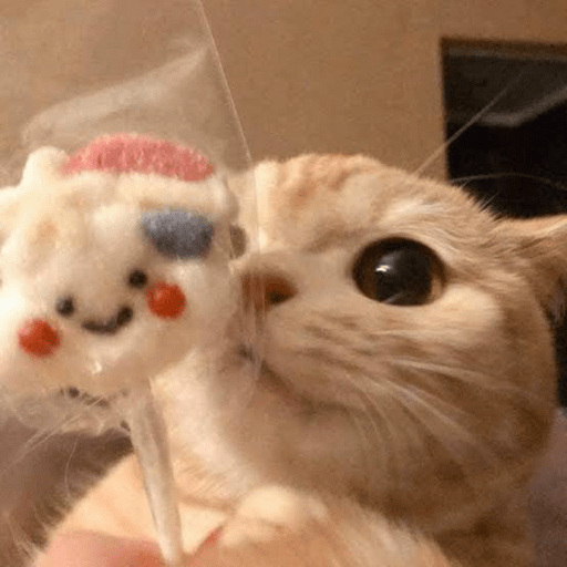 Gatitos comiendo dulces  14