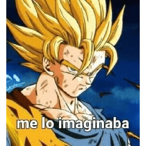 Dragon ball memes 13