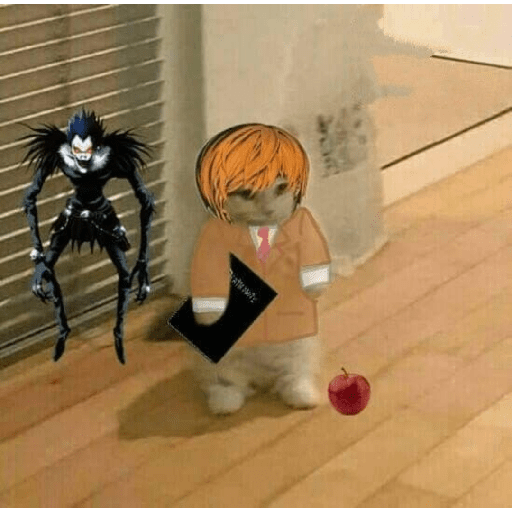 Anime cosplay cat 2