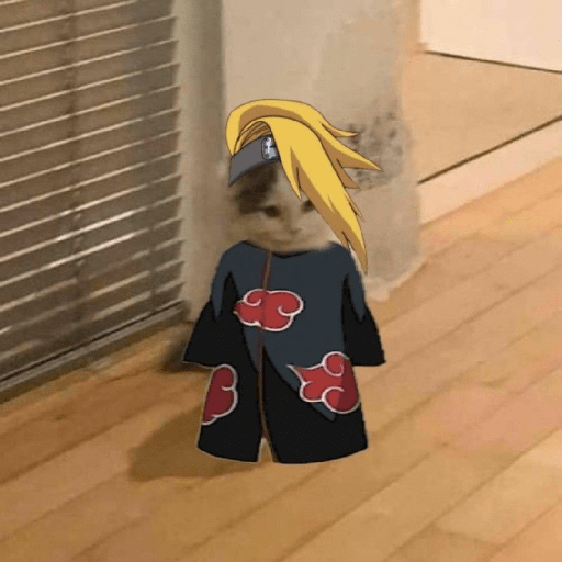 Anime cosplay cat 19