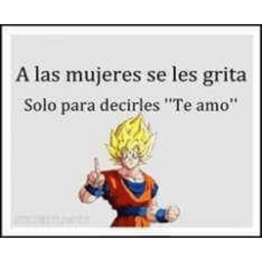 Oal xd 13