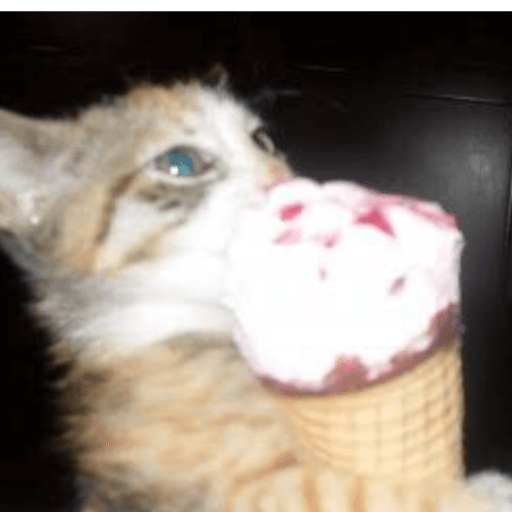 Gatitos comiendo dulces  6
