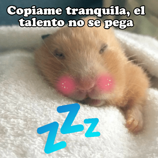 Hámsters No Copy Zone🐹✨ 14