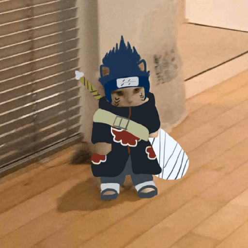 Anime cosplay cat 20