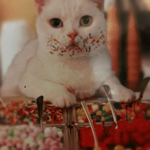 Gatitos comiendo dulces  11