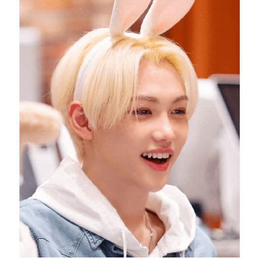 Stray kids 23