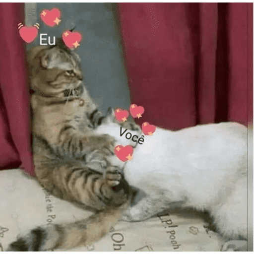 Séries 29