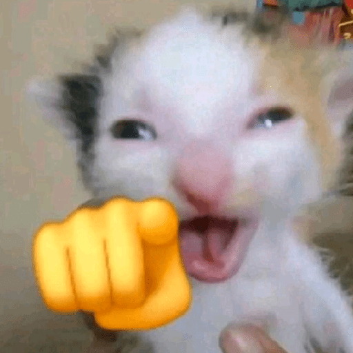 GATOS RANDOM - PARTE 55 13