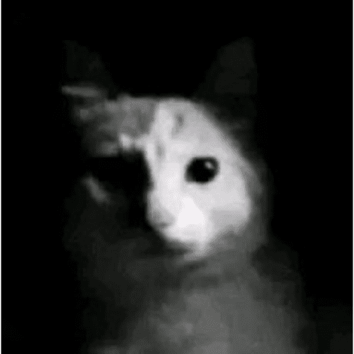 Omg 4