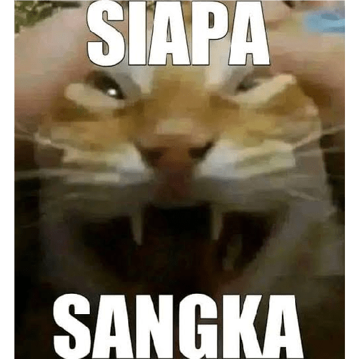 Packpack 1