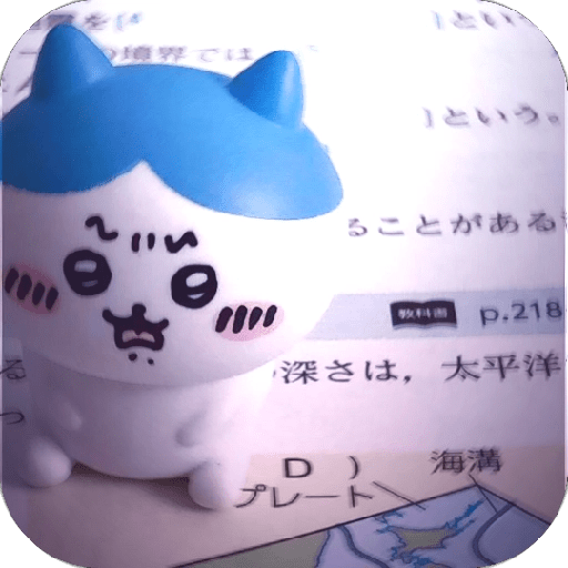 ボア ܢ⌁𐺫𐺤 Peluche /入札  ꯭𐨚┃̸ᨛ 11