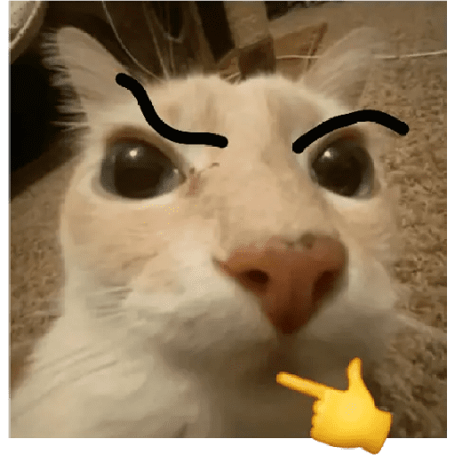 GATOS RANDOM - PARTE 55 30
