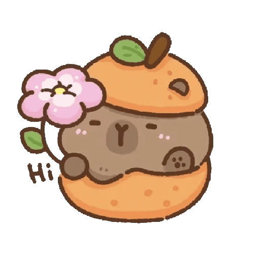  ⸼⿻ ࣪🦫 ᮭcapybara ⸼࣪⤾  17