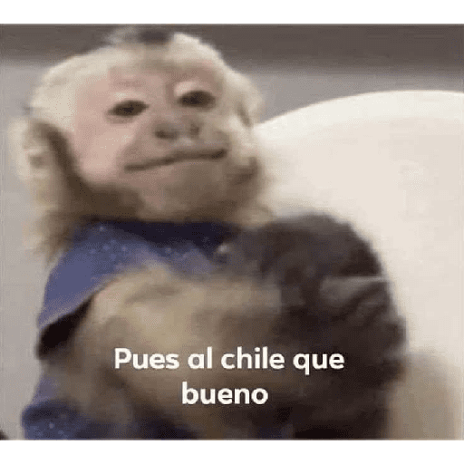 MEMES RANDOM PARTE 38 20