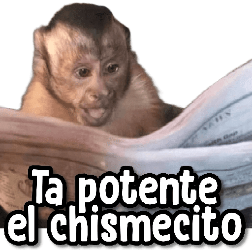 MEMES RANDOM PARTE 65 20