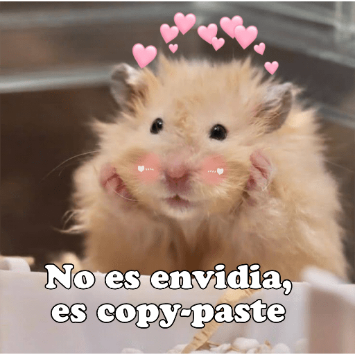 Hámsters No Copy Zone🐹✨ 8