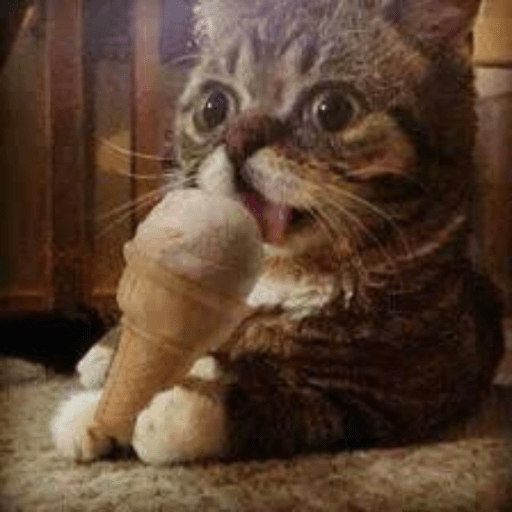 Gatitos comiendo dulces  15