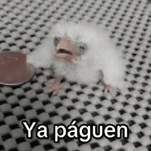 MEMES RANDOM PARTE 38 24